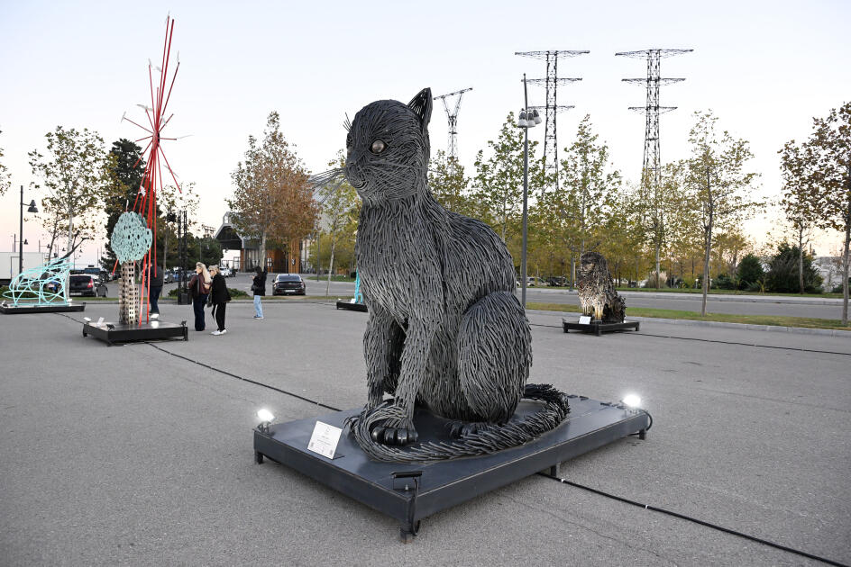 В Музее каменной летописи открылись выставки в рамках фестиваля Art Weekend