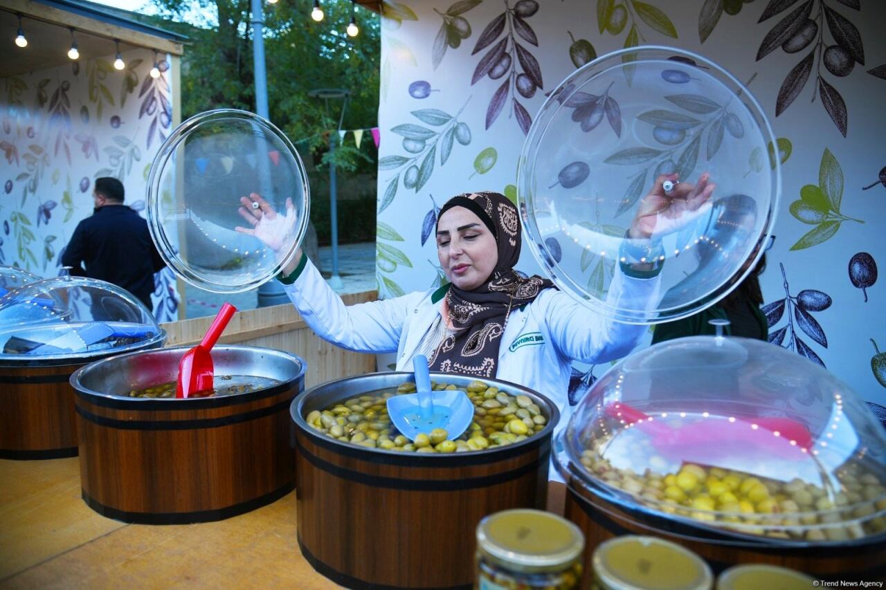 Фестиваль оливок в Ичеришехер: аромат осени, вкус традиций и энергия здоровья
