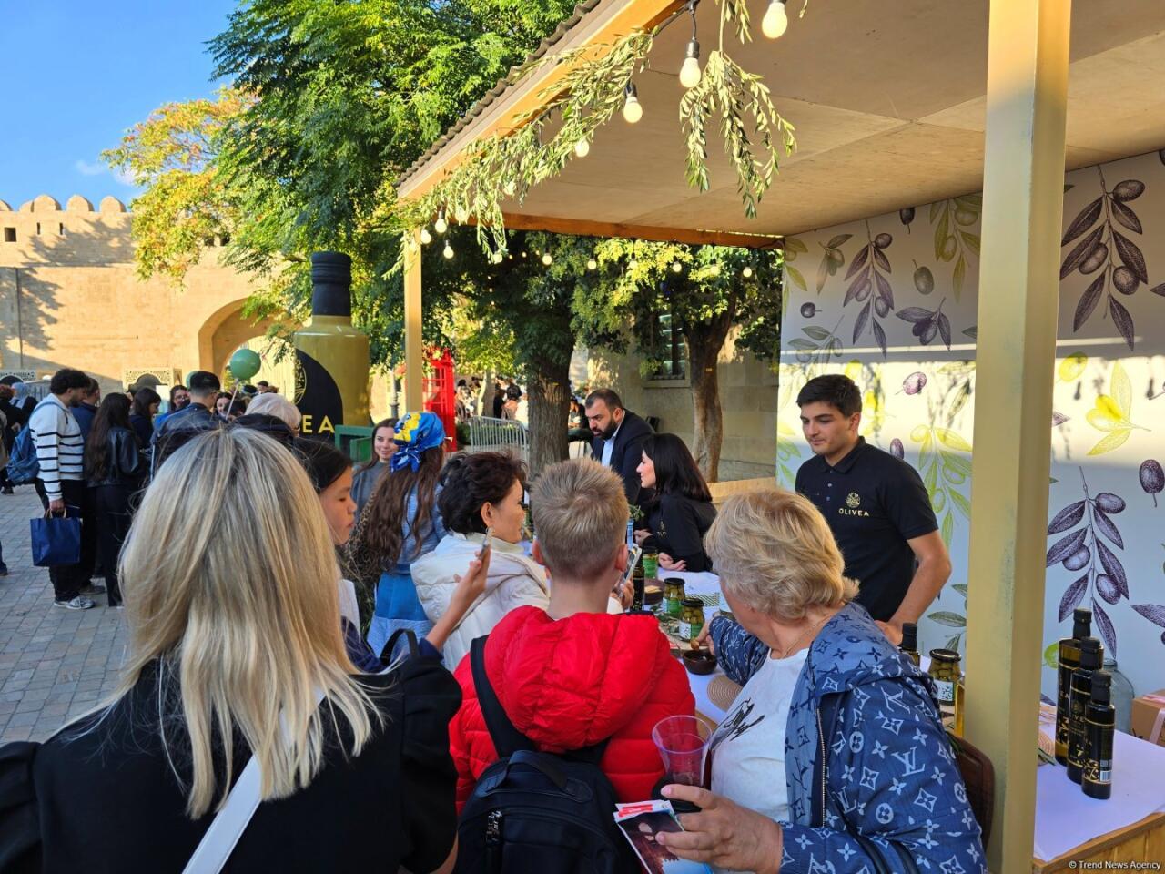 Фестиваль оливок в Ичеришехер: аромат осени, вкус традиций и энергия здоровья
