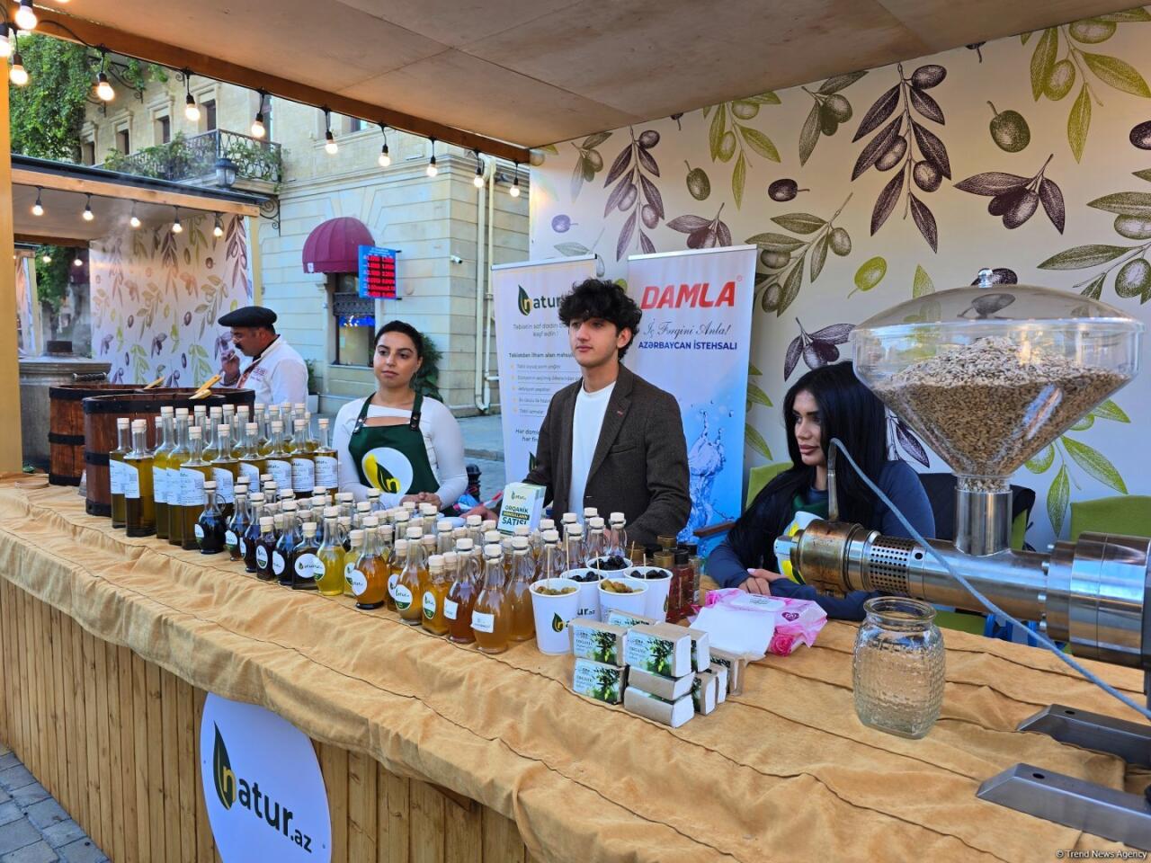 Фестиваль оливок в Ичеришехер: аромат осени, вкус традиций и энергия здоровья