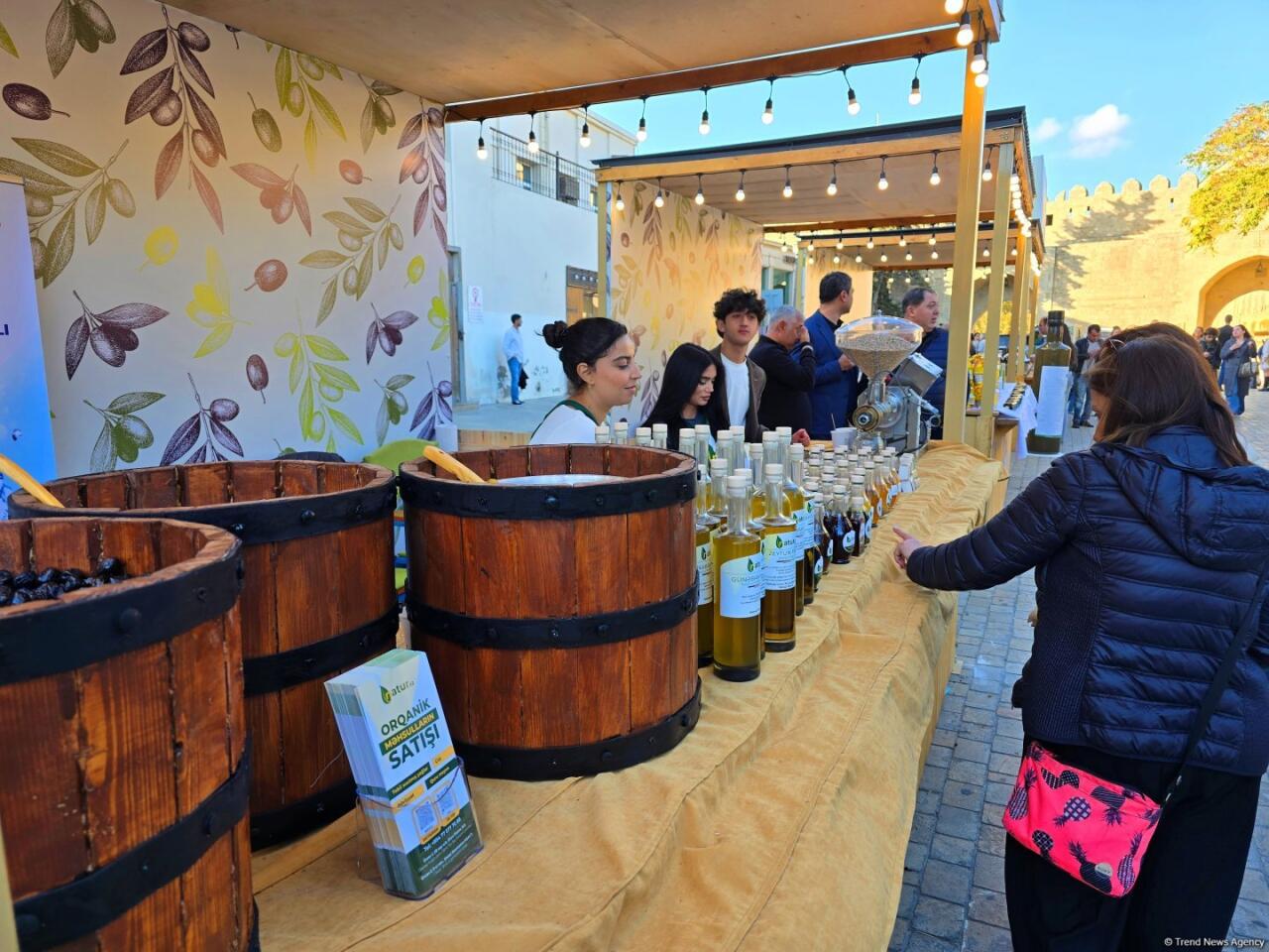 Фестиваль оливок в Ичеришехер: аромат осени, вкус традиций и энергия здоровья