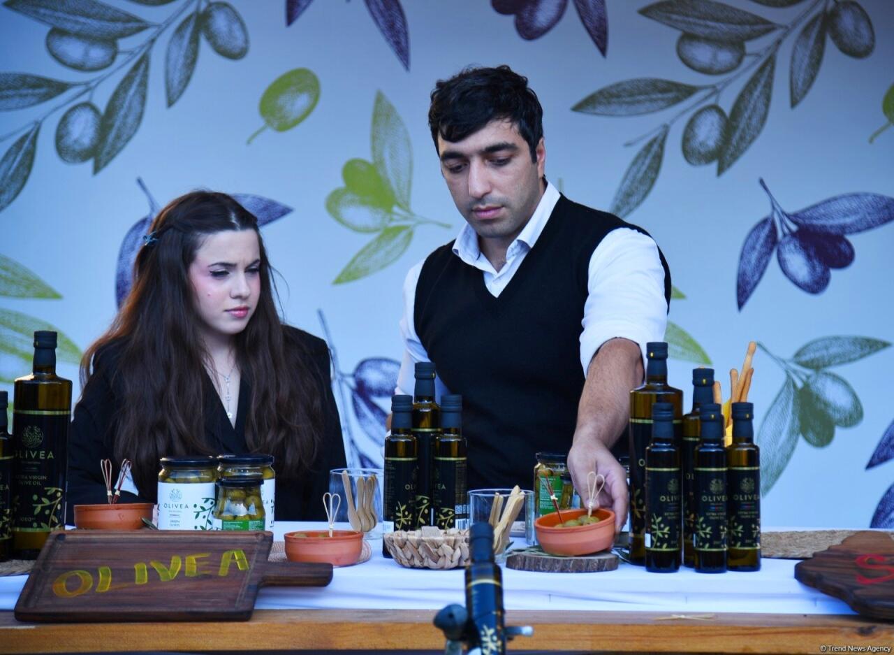 Фестиваль оливок в Ичеришехер: аромат осени, вкус традиций и энергия здоровья