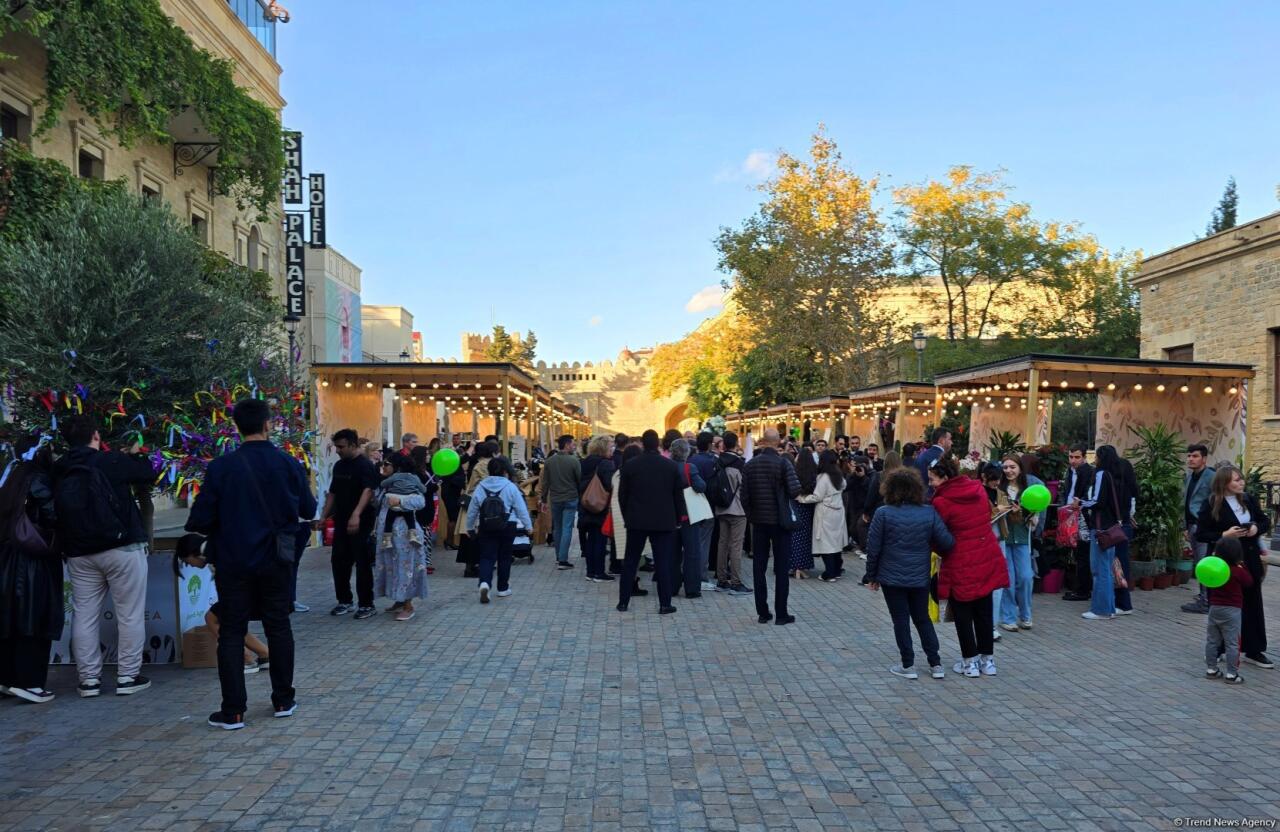 Фестиваль оливок в Ичеришехер: аромат осени, вкус традиций и энергия здоровья