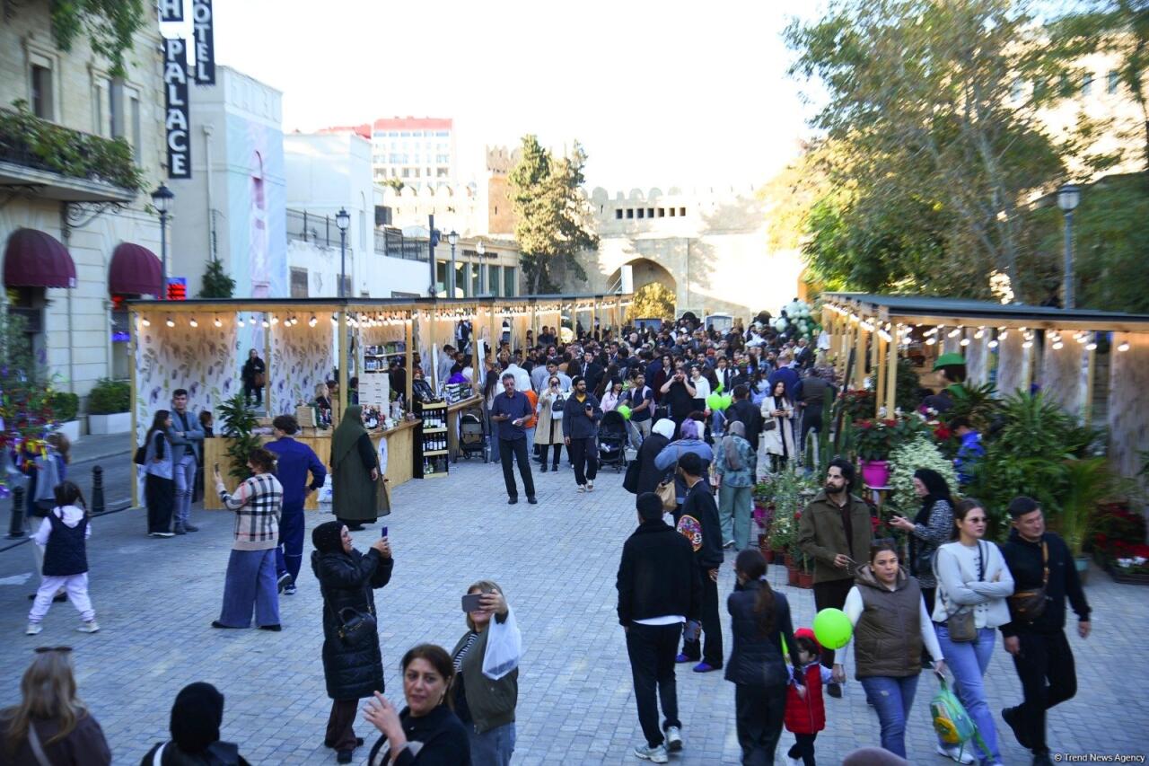 Фестиваль оливок в Ичеришехер: аромат осени, вкус традиций и энергия здоровья