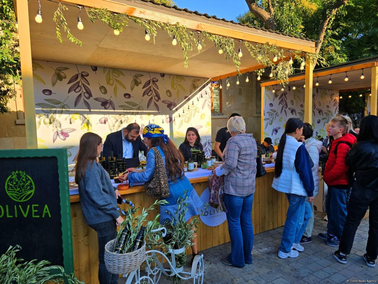 Фестиваль оливок в Ичеришехер: аромат осени, вкус традиций и энергия здоровья