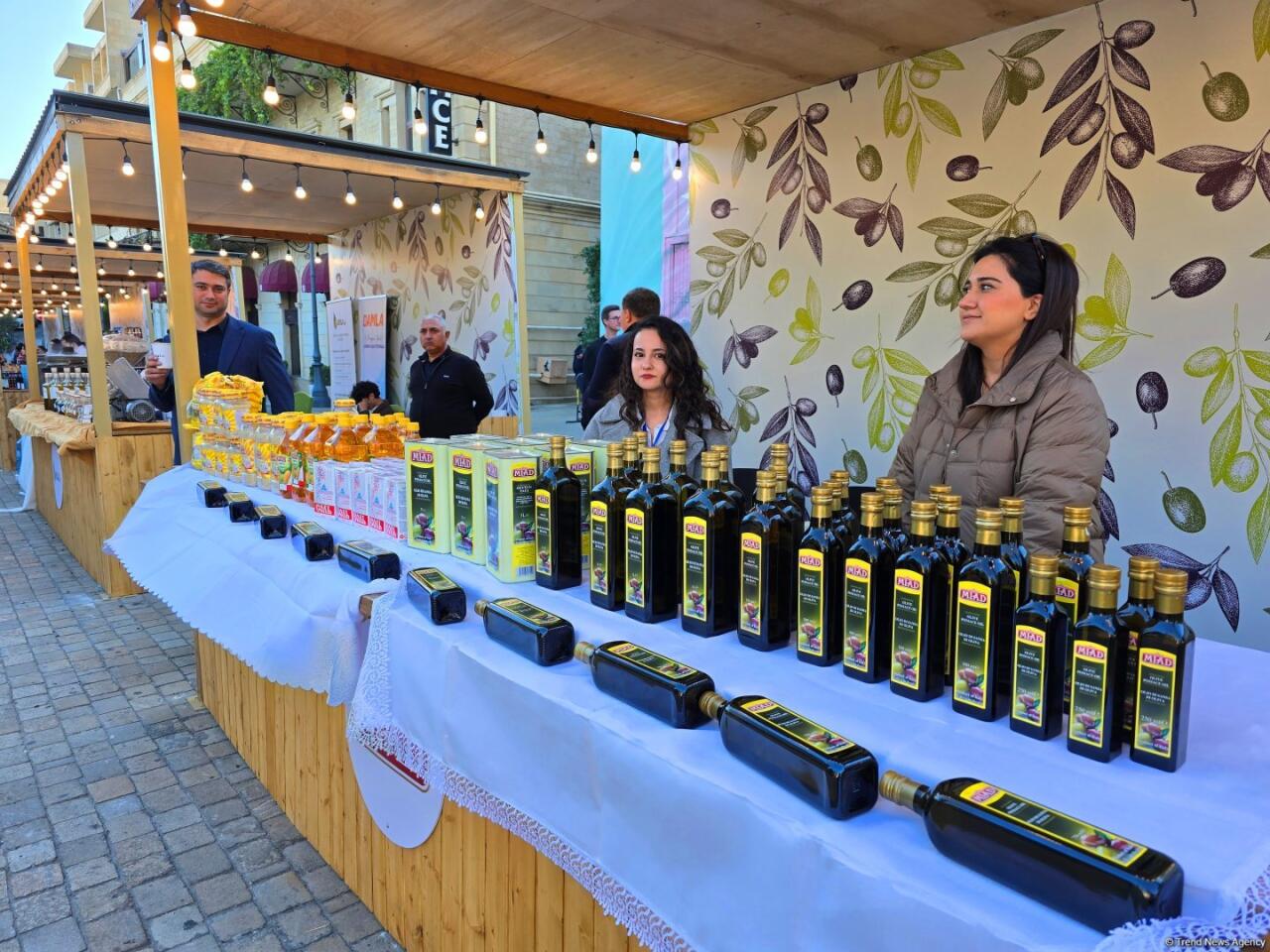Фестиваль оливок в Ичеришехер: аромат осени, вкус традиций и энергия здоровья