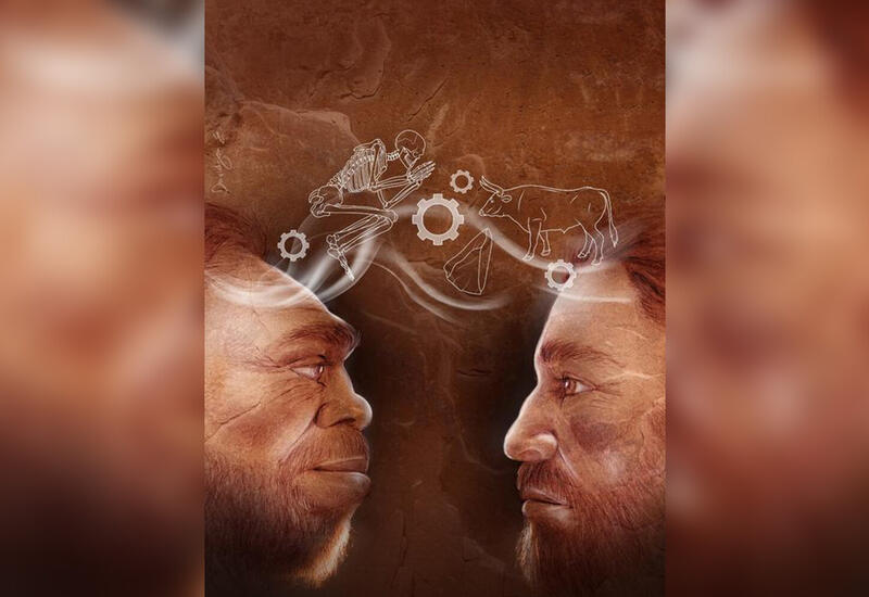 Раскрыты генетические изменения, позволяющие людям ходить на двух ногах