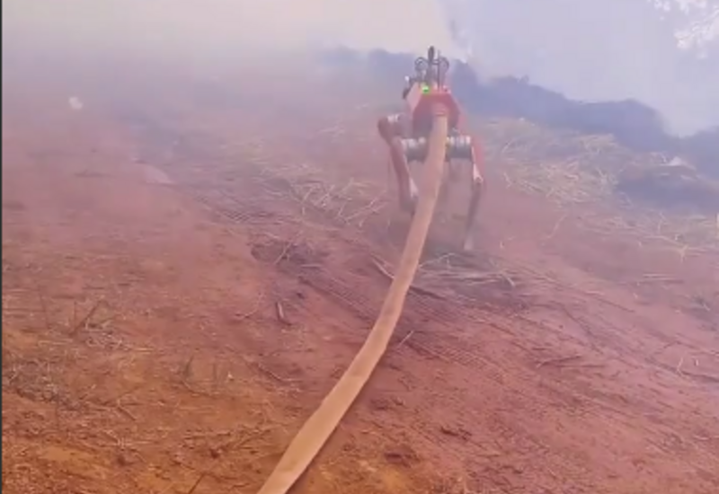 Робопсы становятся пожарными