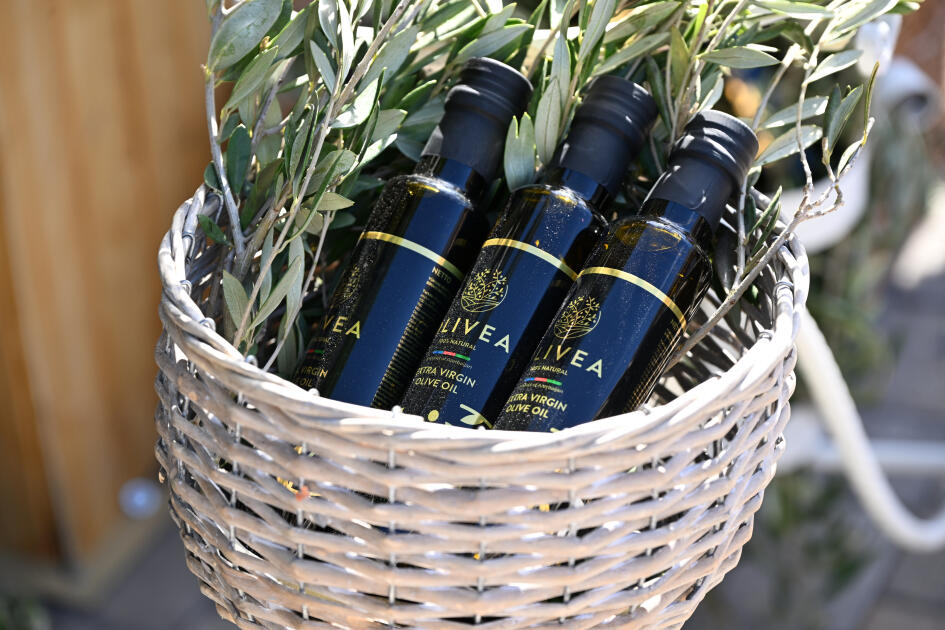 İçərişəhərdə Zeytun Festivalı davam edir