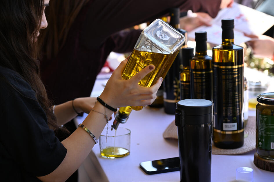 İçərişəhərdə Zeytun Festivalı davam edir