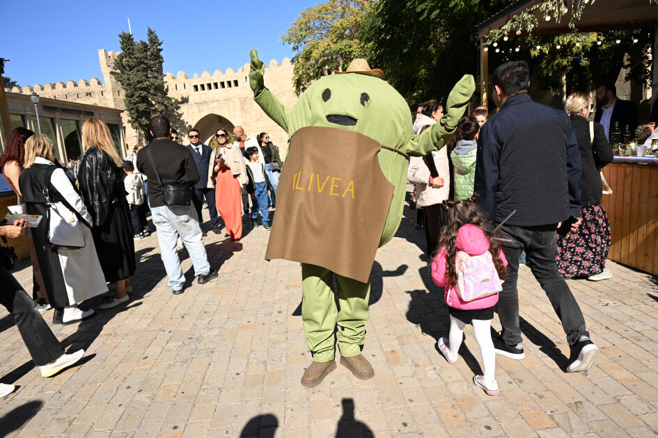 İçərişəhərdə Zeytun Festivalı davam edir