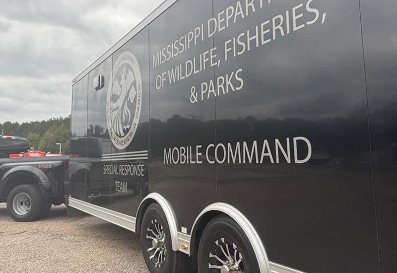 В США застрелили заражённую обезьяну, сбежавшую из лаборатории