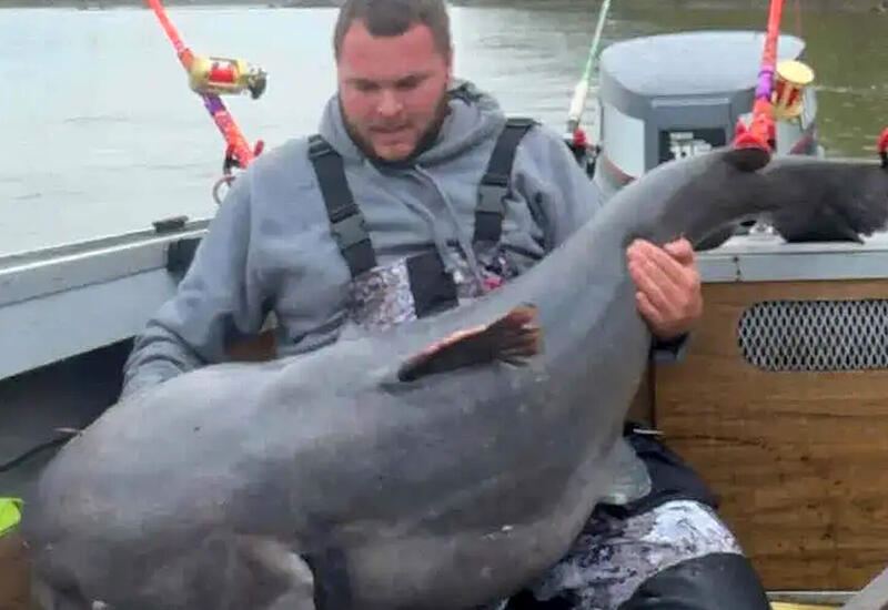 Рыбак отпустил гигантского мудрого сома и лишился рекорда