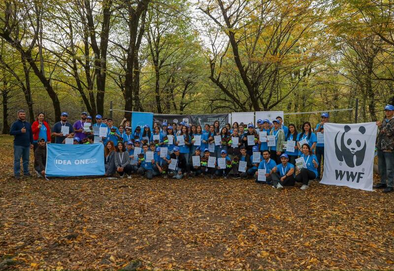 В Исмаиллы прошел лагерь «Вернем зубров в нашу природу!»