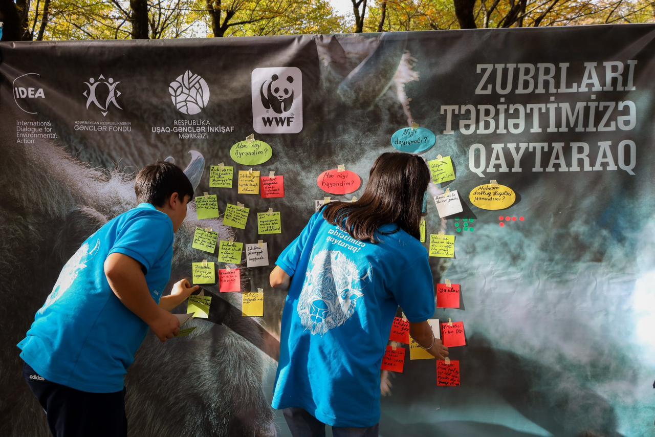 В Исмаиллы прошел лагерь «Вернем зубров в нашу природу!»