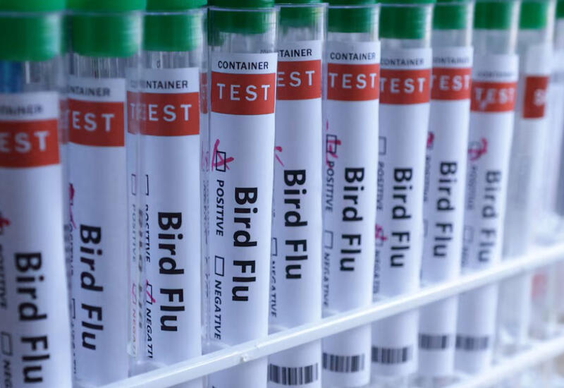 В Великобритании установлены новые правила по содержанию птиц