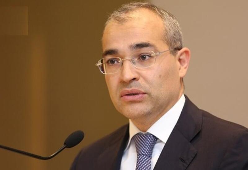 İqtisadiyyat naziri vergi inzibatçılığı və leqallaşma ilə bağlı təkliflərdən danışıb