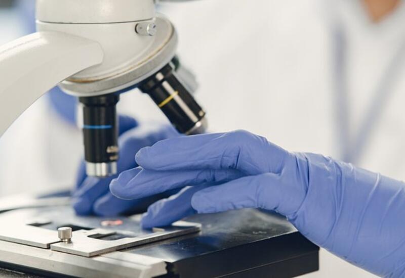 Выявлен неожиданный путь попадания нанопластика в организм