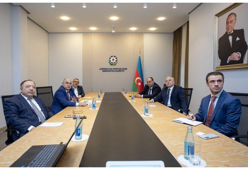 Азербайджан будет сотрудничать с турецкой компанией в сфере «зеленой энергетики»