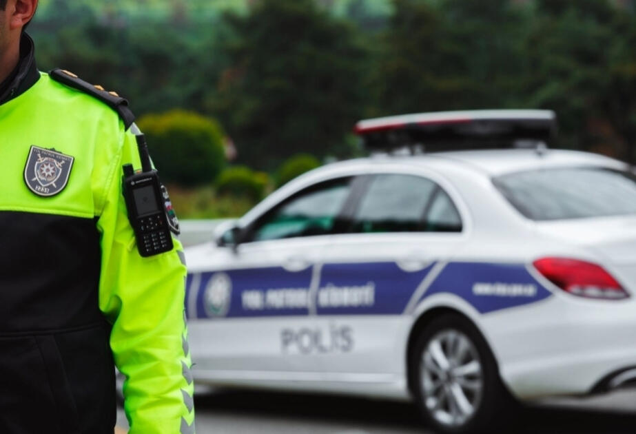 DYP-dən Zəfər Günü ilə bağlı hərəkət iştirakçılarına