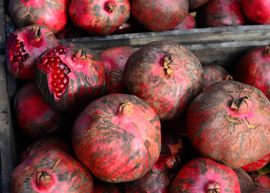 Гёйчай готовится к XV Празднику граната