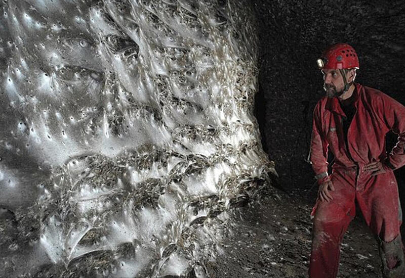 Ученые нашли самую большую в мире паутину