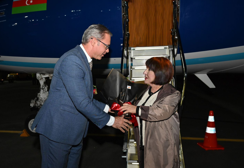 Sahibə Qafarova COP30-da iştirak üçün Braziliyaya işgüzar səfərə gedib