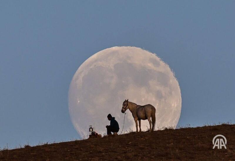 Жители земли увидели "Бобровую" Луну