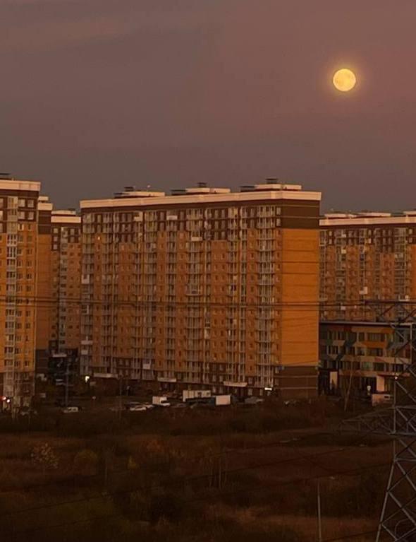 Жители земли увидели "Бобровую" Луну