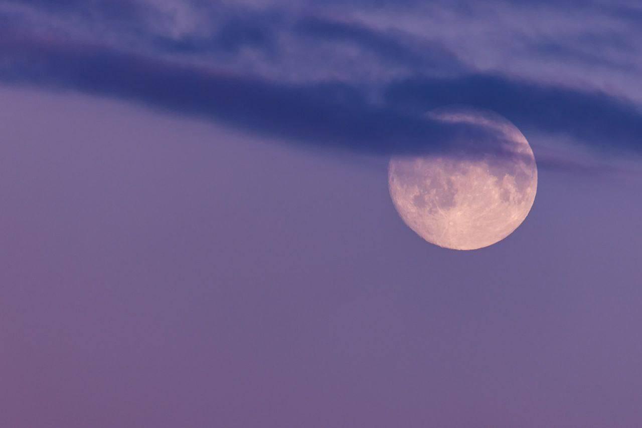 Жители земли увидели "Бобровую" Луну