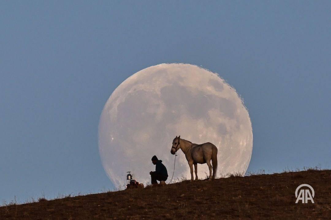 Жители земли увидели "Бобровую" Луну