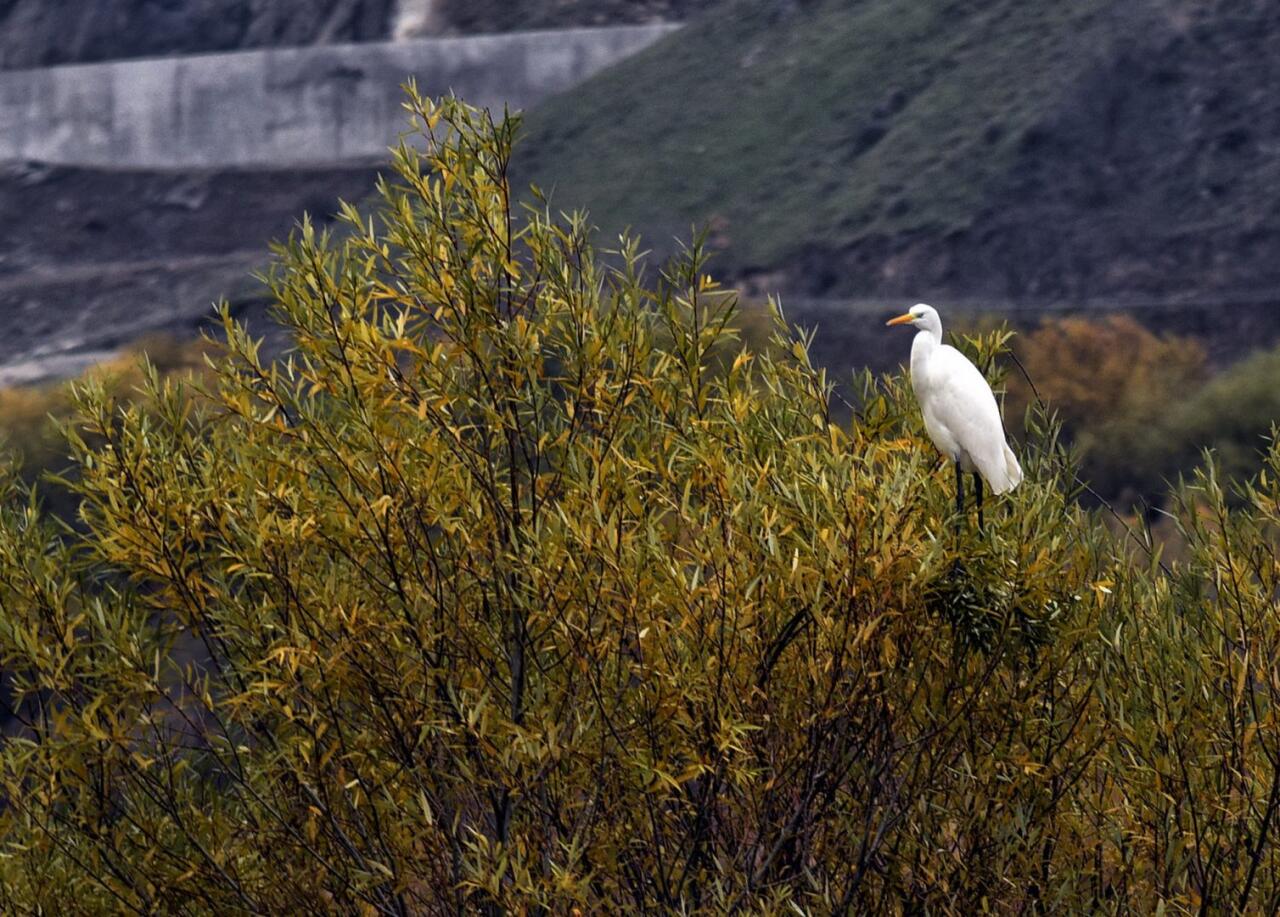 В Баку открылась выставка "Объектив Победы"