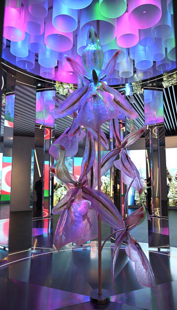 Prezident İlham Əliyev və Birinci xanım Mehriban Əliyeva Bakıda Zəfər abidəsini ziyarət edib və Zəfər muzeyinin açılışında iştirak ediblər