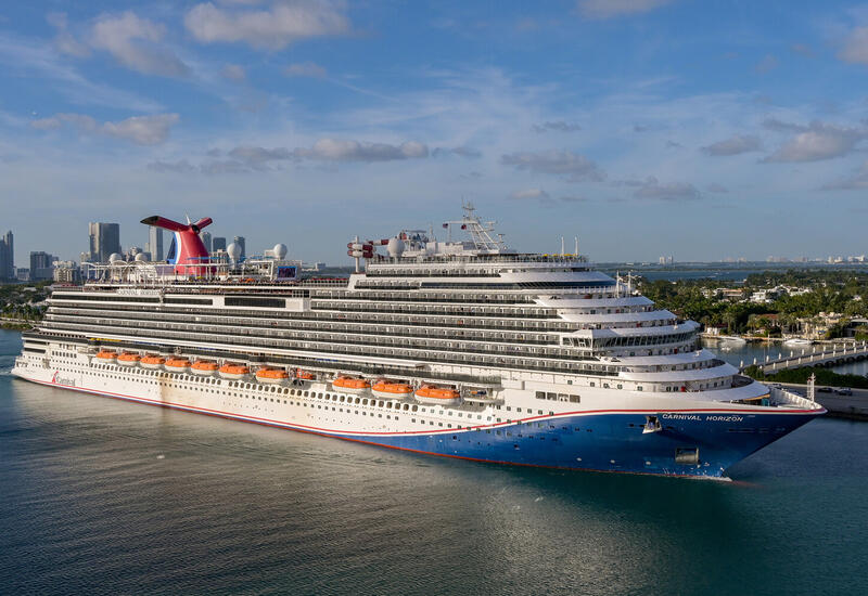 «Отпуск мечты» на круизном лайнере закончился для пары укусами десятков клопов