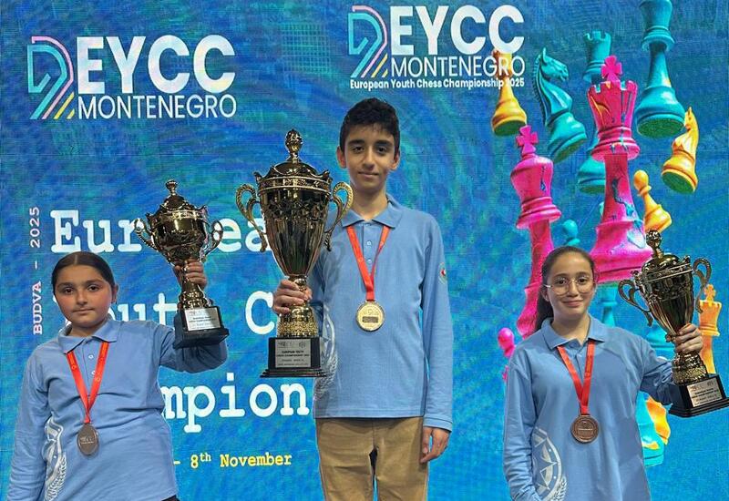 Азербайджанский шахматист стал чемпионом Европы