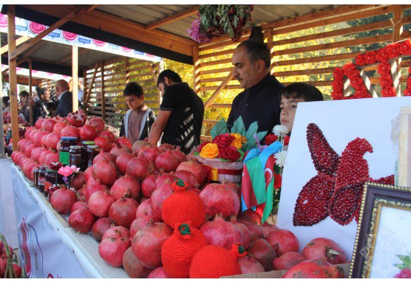 В Гёйчае прошел Праздник граната