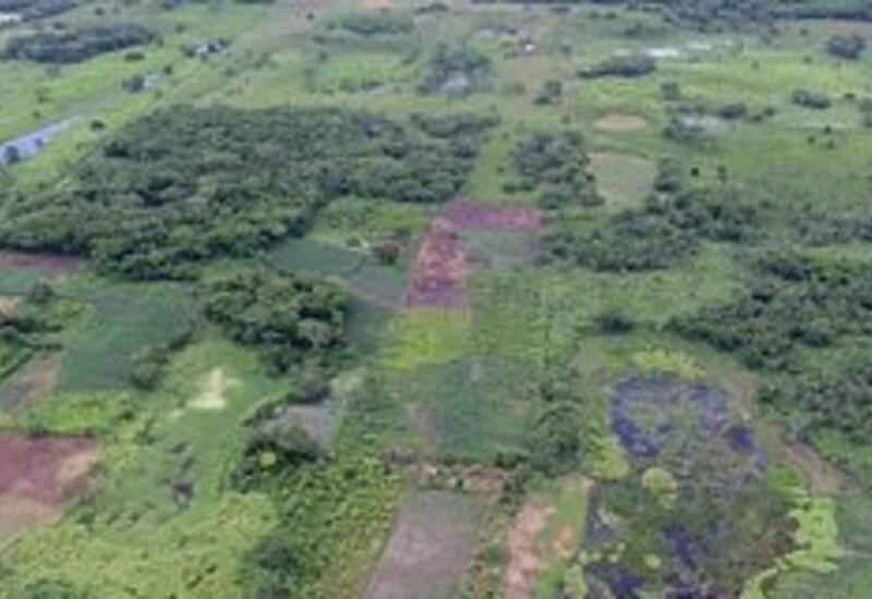 Раскрыта тайна крупнейшего памятника майя