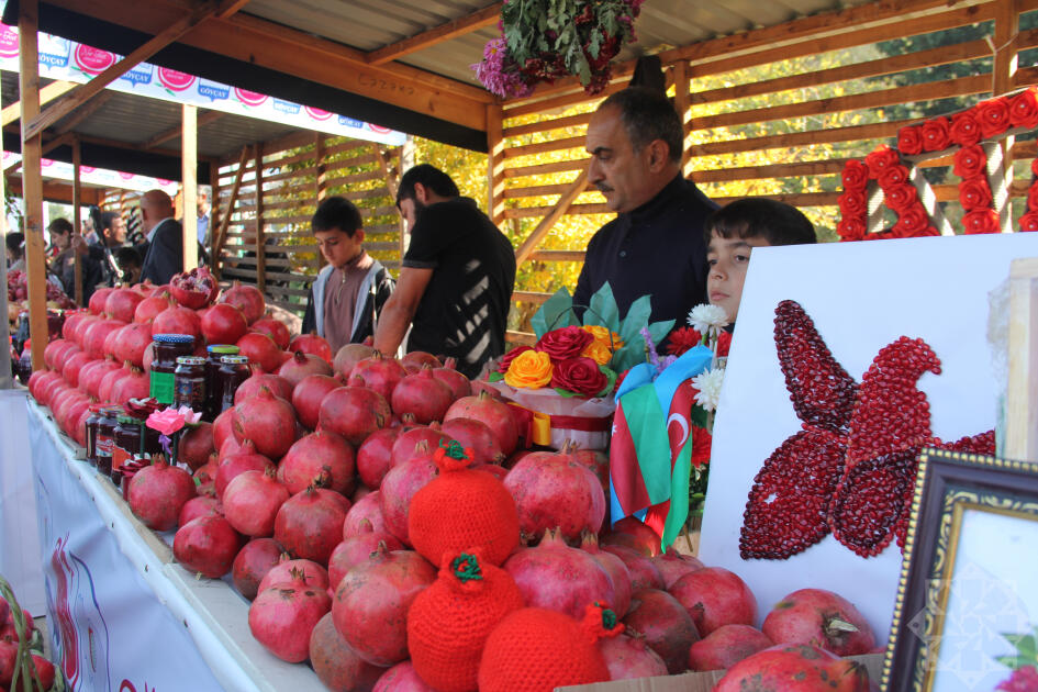 В Гёйчае прошел Праздник граната