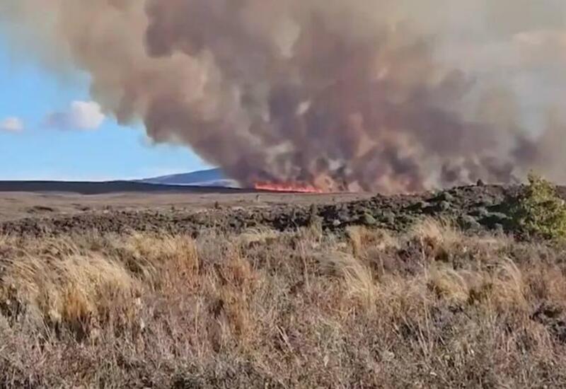 Сильнейший пожар охватил нацпарк в Новой Зеландии