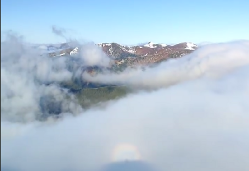 Редкое природное явление засняли в Карпатах