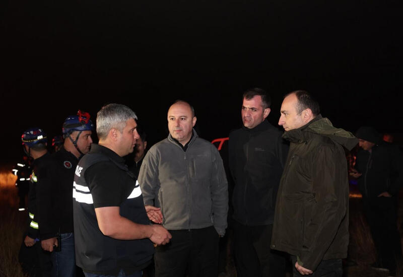 Глава МВД Грузии находится на месте авиакатастрофы