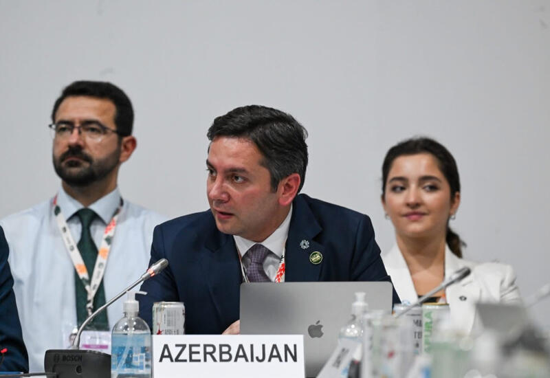 COP29-un gənclər üzərində qurulan irsi geləcək sammitlər üçün iştirak modelidir