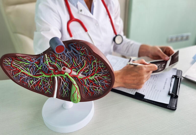 Названа причина, по которой печень может потерять способность к восстановлению