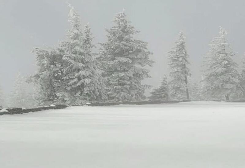 США заваливает снегом