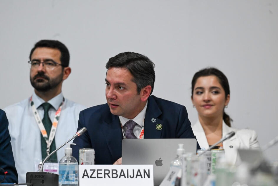 COP29-un gənclər üzərində qurulan irsi geləcək sammitlər üçün iştirak modelidir