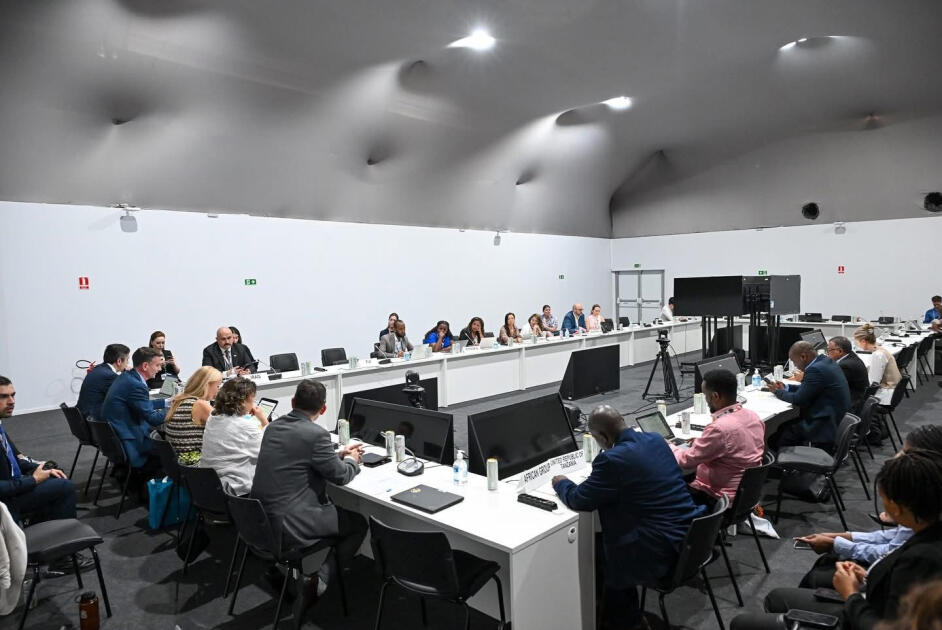 COP29-un gənclər üzərində qurulan irsi geləcək sammitlər üçün iştirak modelidir