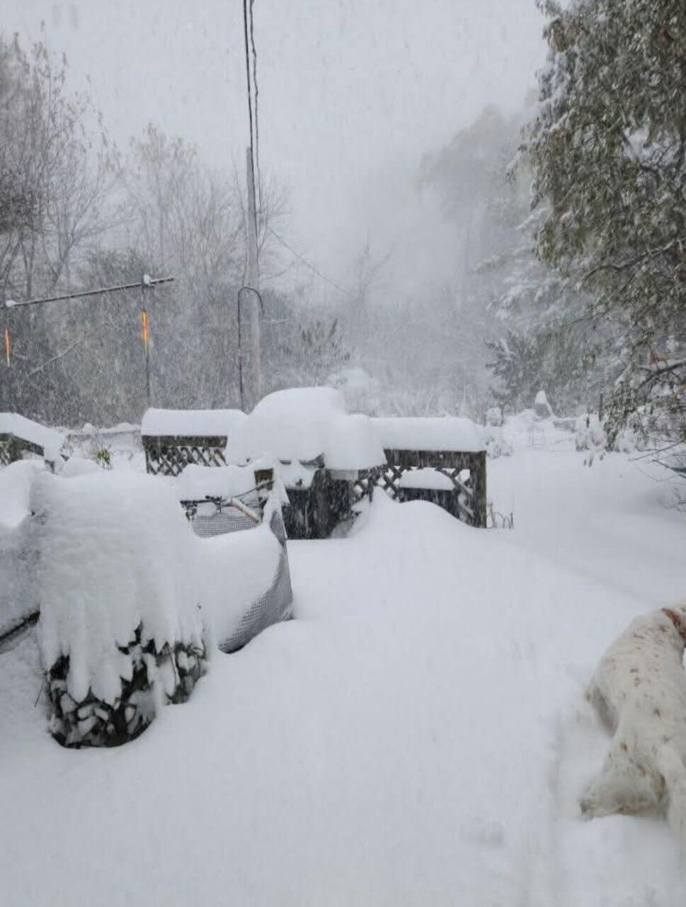 США заваливает снегом