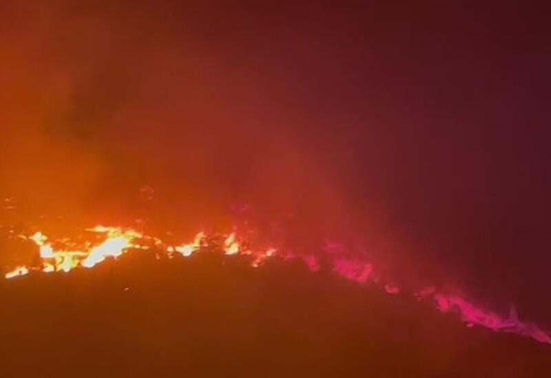 Ливан охватили лесные пожары