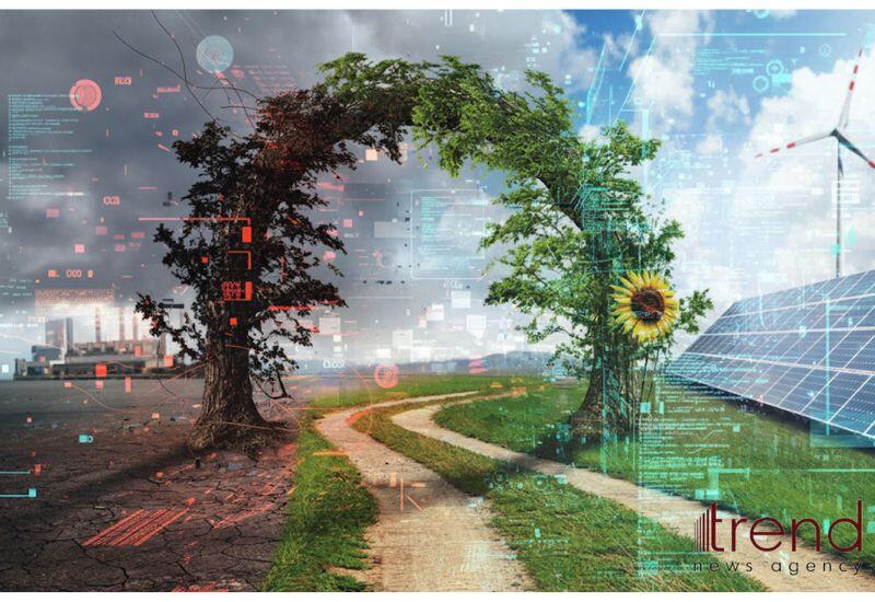 Подведены итоги проекта «Зеленый энергетический коридор ЦА–Азербайджан»