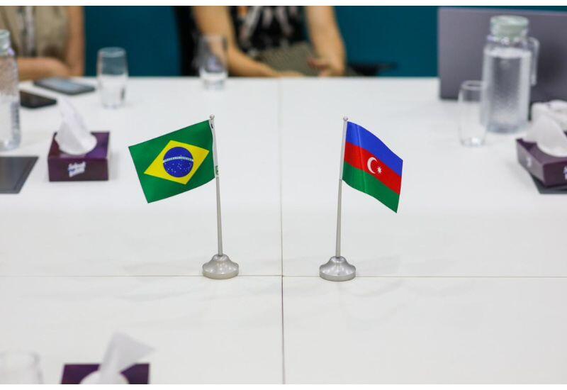 В Белене представлена информация о восстановительных работах в Карабахе